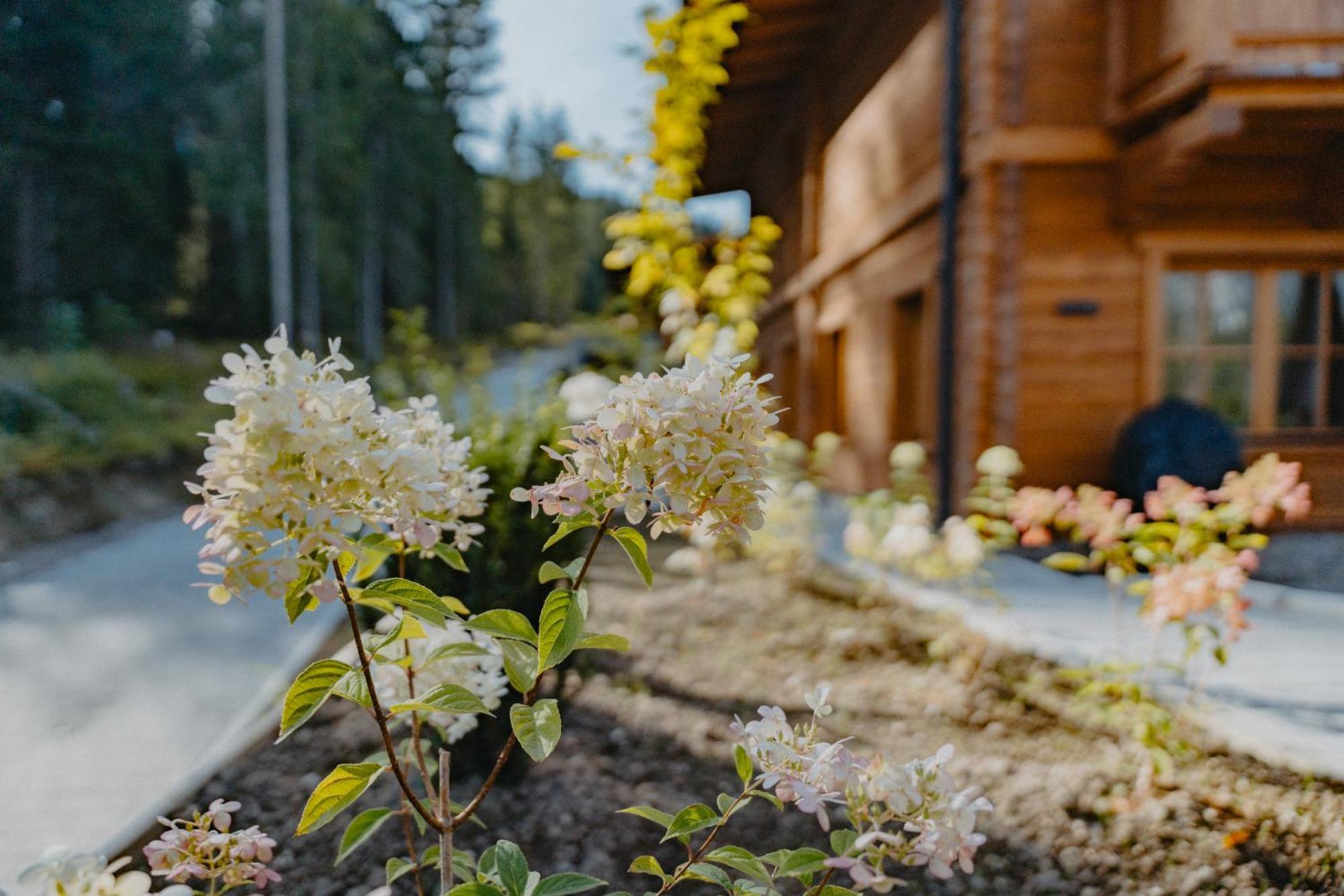 Sissi'S Green Chalets Leutasch Bagian luar foto