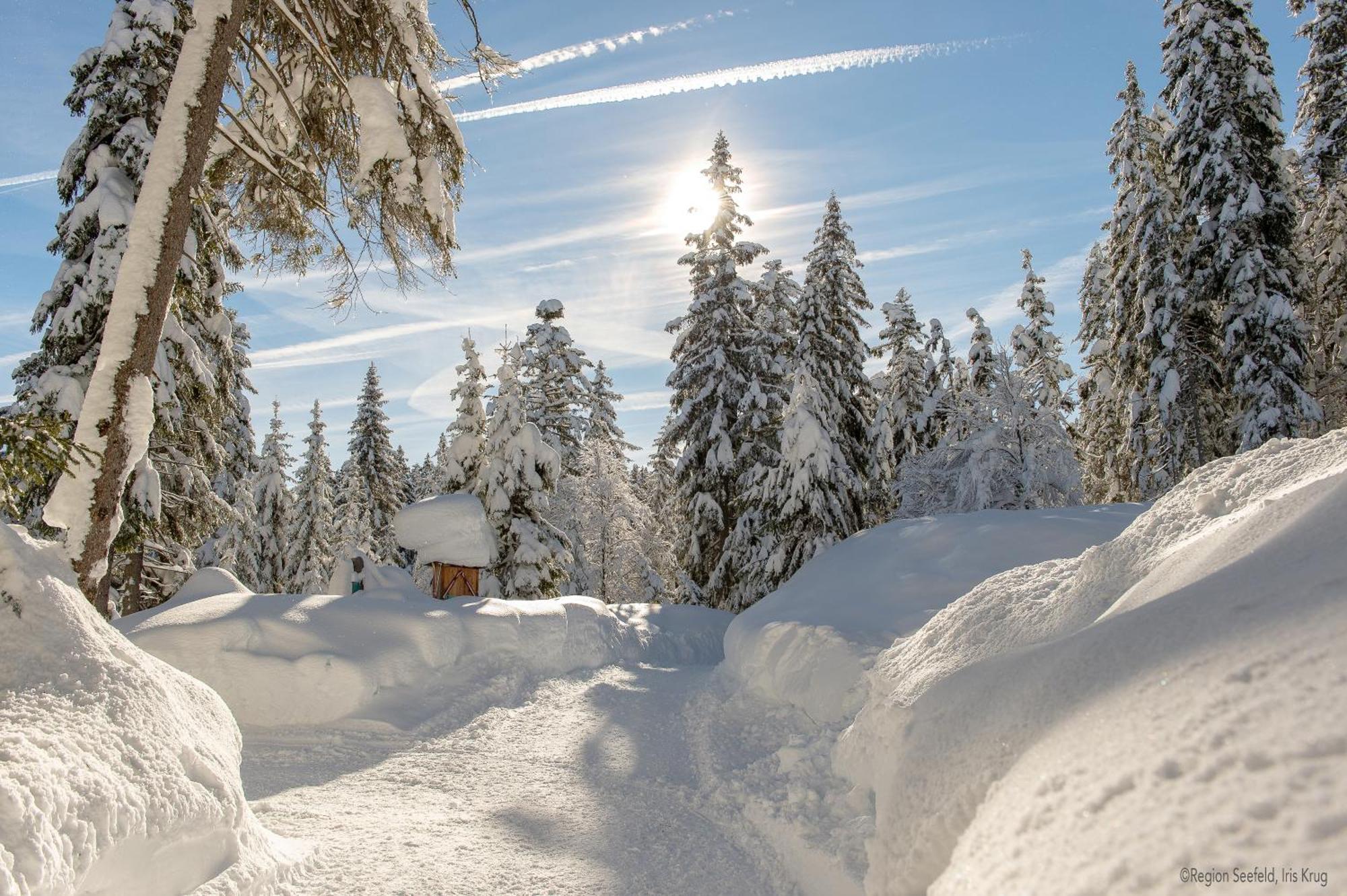 Sissi'S Green Chalets Leutasch Bagian luar foto